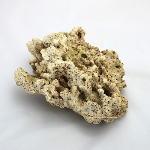 Riffgestein 5x20 5x10 5 - riffgestein,, 24,5x20,5x10,5