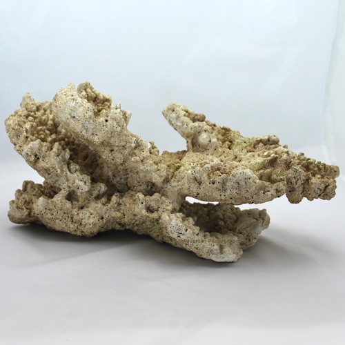 Riffgestein 5 x - 23,5, 18