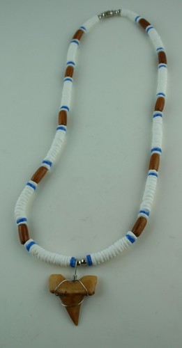 Muschel kette mit haizahn - kette, aus